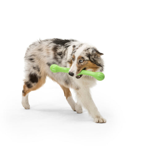 West Paw Zwig Tug & Fetch Stick Dog Toys