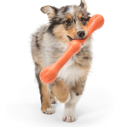 West Paw Zwig Tug & Fetch Stick Dog Toys