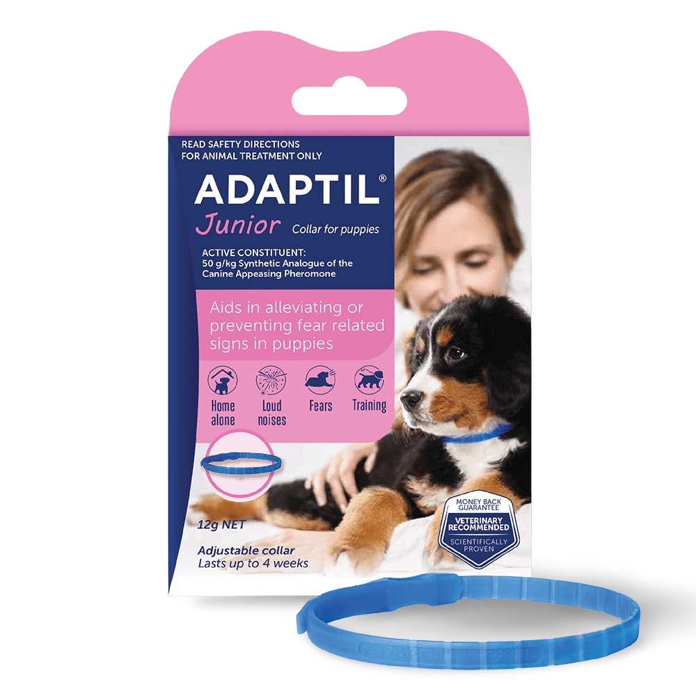Junior Calming Collar