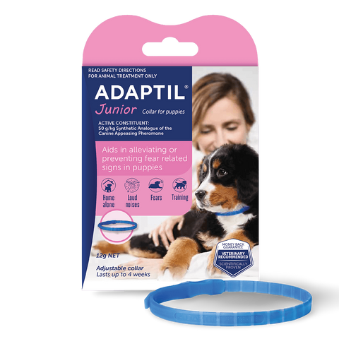 Junior Calming Collar