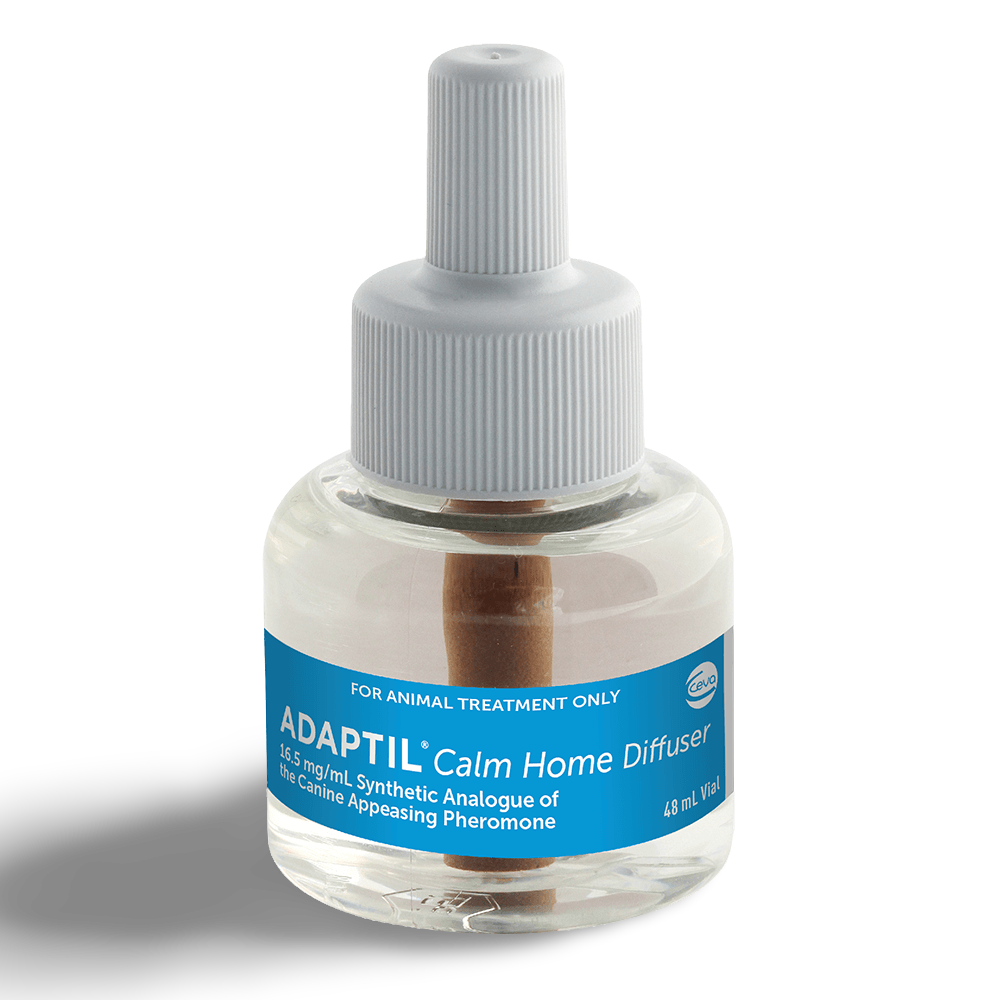 Calming Diffuser Refill