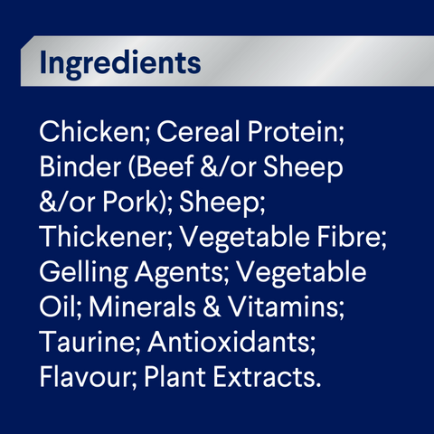 Adult Casserole With Lamb Wet Dog Food Cans