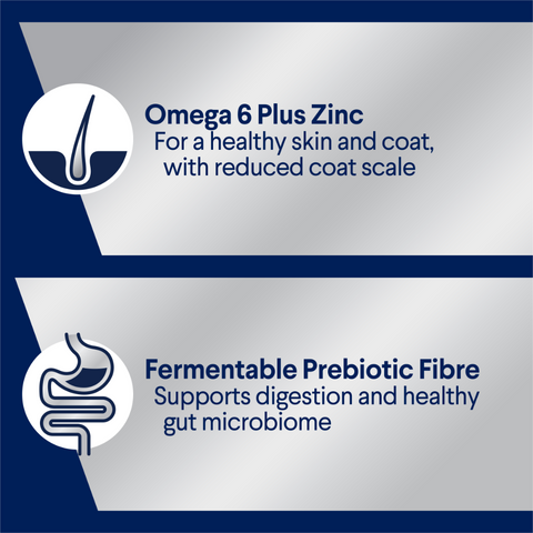 Adult Chicken, Salmon And Rice Wet Dog Food Cans