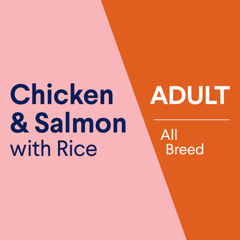 Adult Chicken, Salmon And Rice Wet Dog Food Cans