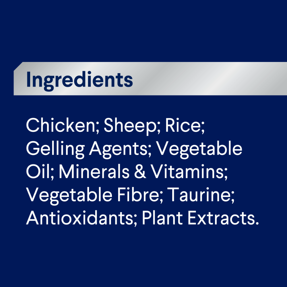 Adult Chicken, Salmon And Rice Wet Dog Food Cans