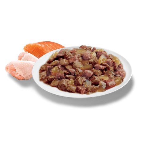 Adult Ocean Fish & Indoor Chicken And Turkey In Jelly Wet Cat Food Variety Pack