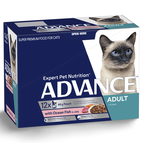 Adult Ocean Fish In Jelly Wet Cat Food Pouches