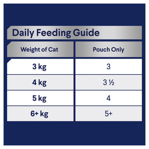 Adult Ocean Fish In Jelly Wet Cat Food Pouches