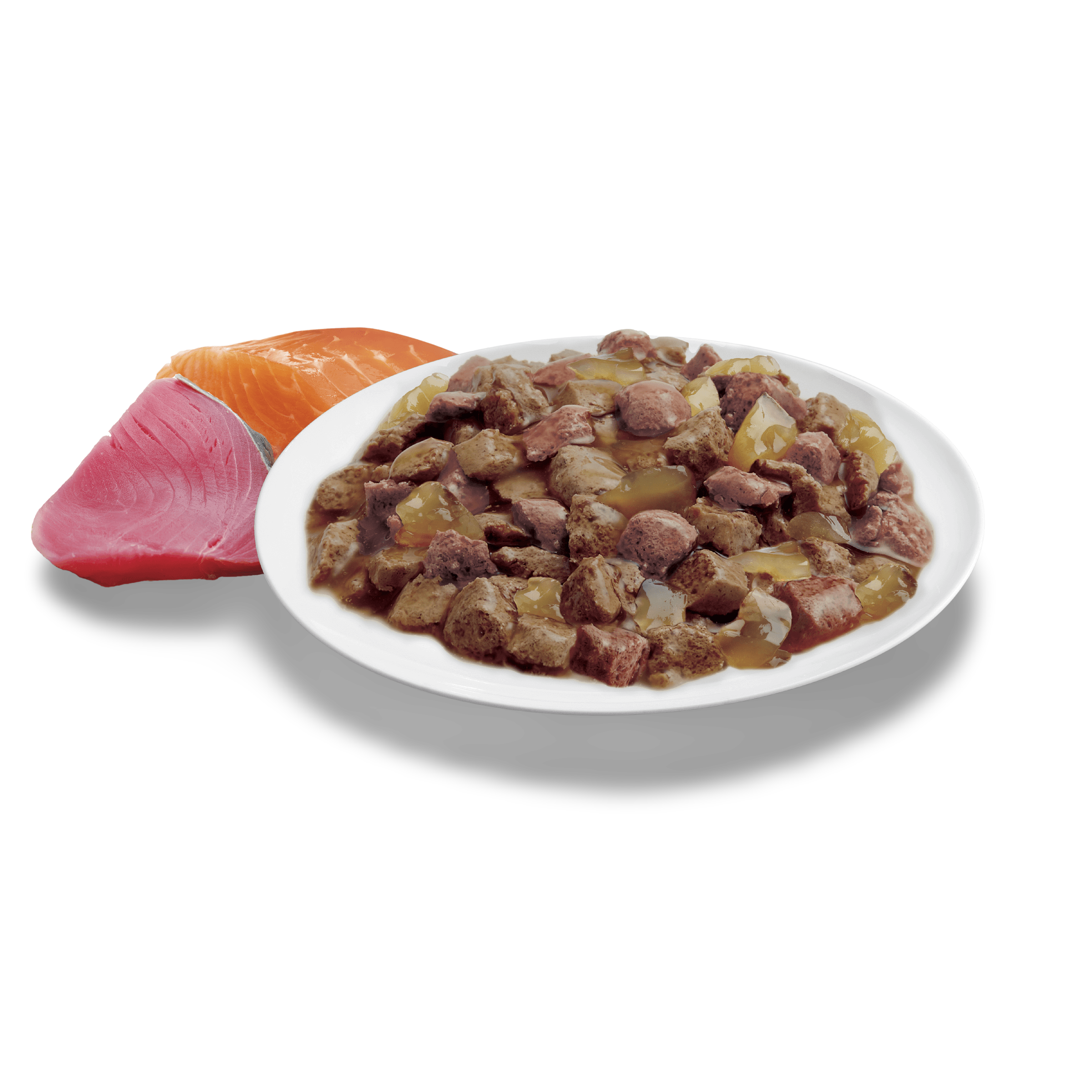 Adult Ocean Fish In Jelly Wet Cat Food Pouches