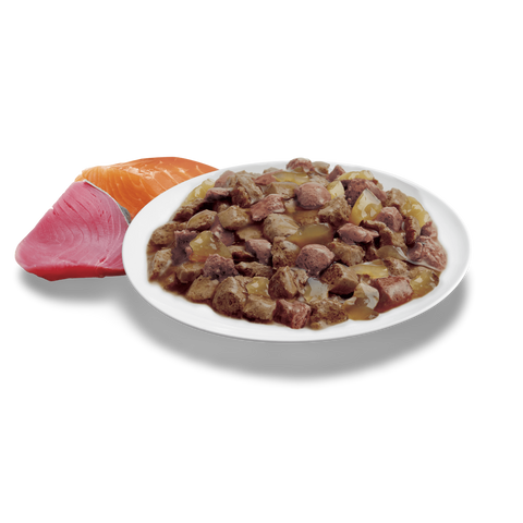 Adult Ocean Fish In Jelly Wet Cat Food Pouches