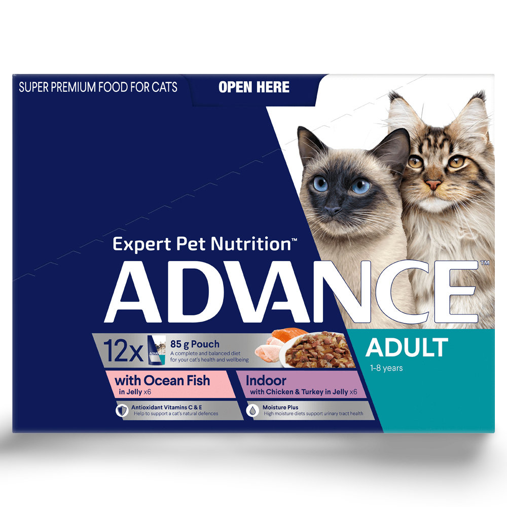 Adult Ocean Fish & Indoor Chicken And Turkey In Jelly Wet Cat Food Variety Pack