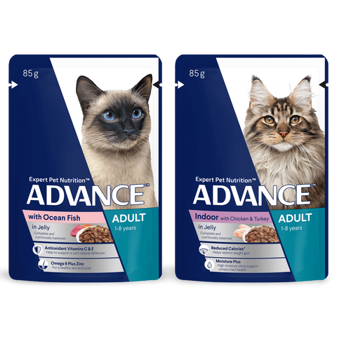 Adult Ocean Fish & Indoor Chicken And Turkey In Jelly Wet Cat Food Variety Pack