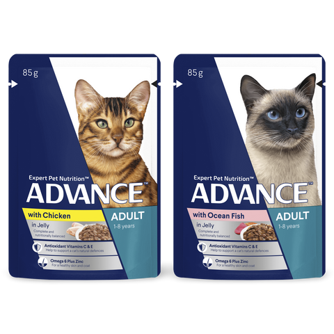 Adult Ocean Fish & Chicken And Turkey In Jelly Wet Cat Food Pouches