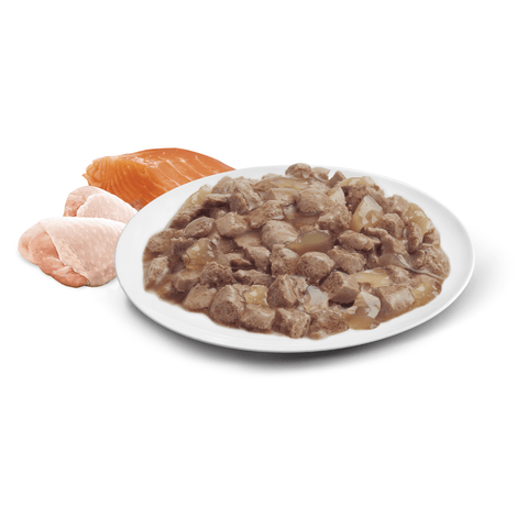 Adult Ocean Fish & Chicken And Turkey In Jelly Wet Cat Food Pouches