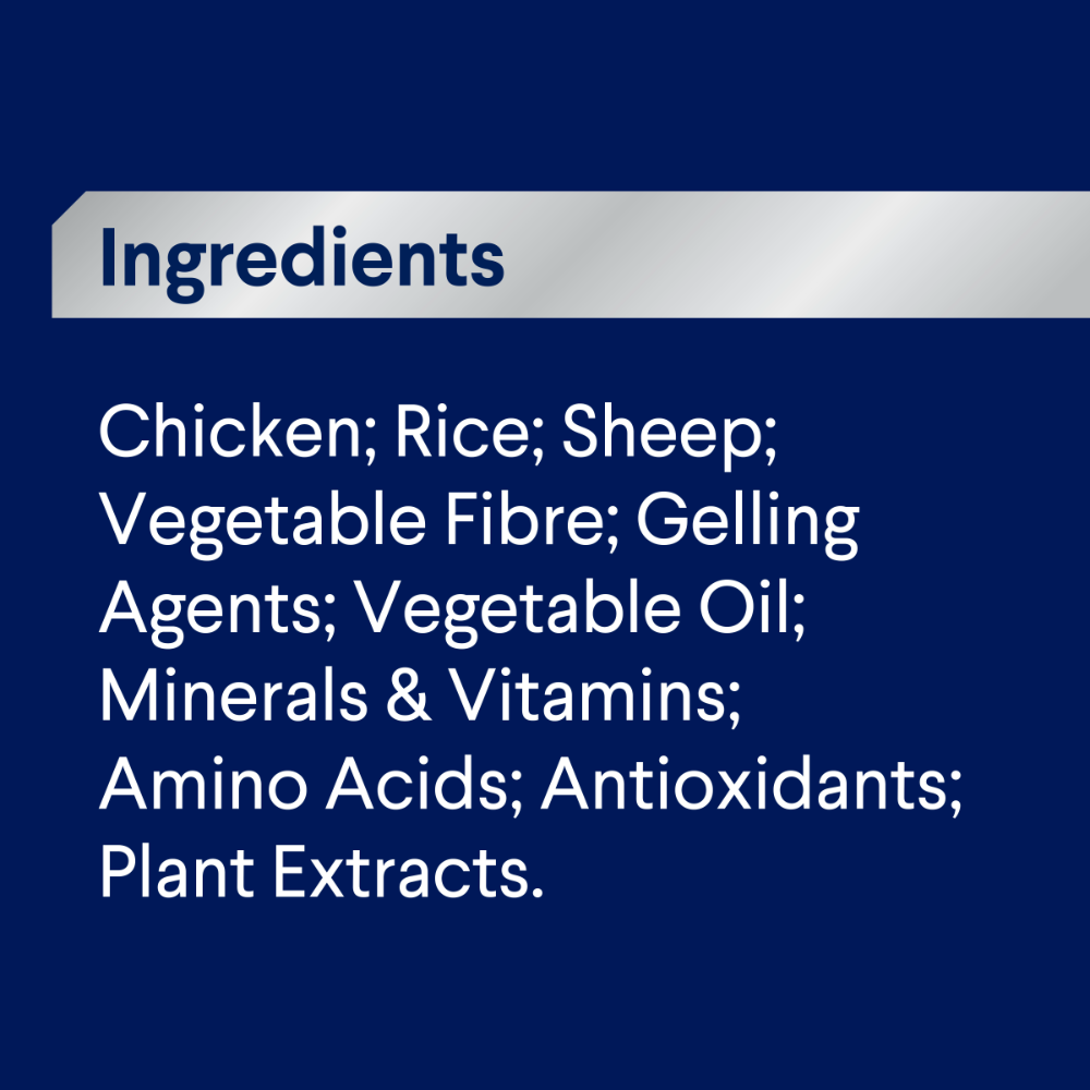 Adult Sensitive All Breed Chicken And Rice Wet Dog Food Cans