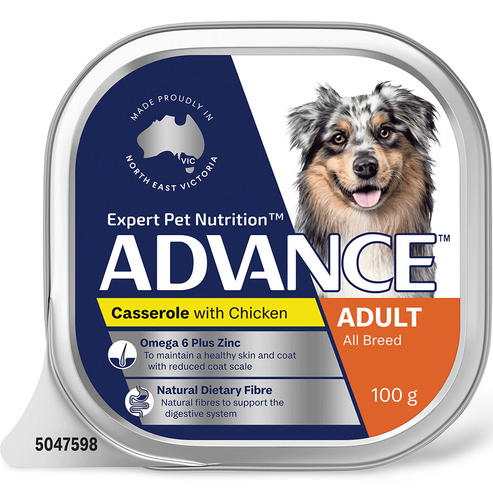 Adult Single Serve Chicken Casserole Wet Dog Food Trays