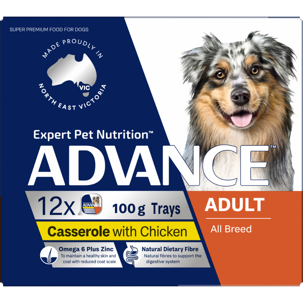 Adult Single Serve Chicken Casserole Wet Dog Food Trays
