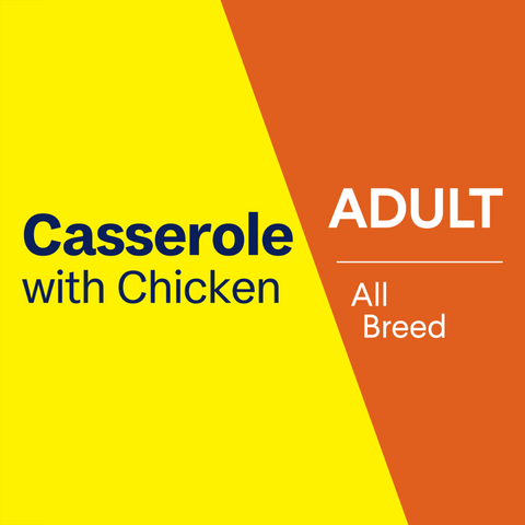 Adult Single Serve Chicken Casserole Wet Dog Food Trays