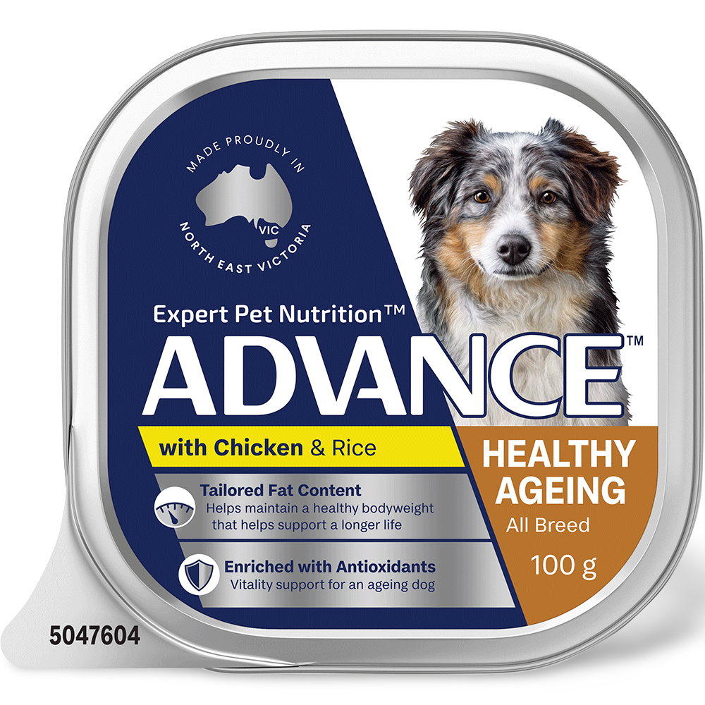 Adult Single Serve Healthy Aging Chicken With Rice Wet Dog Food Trays