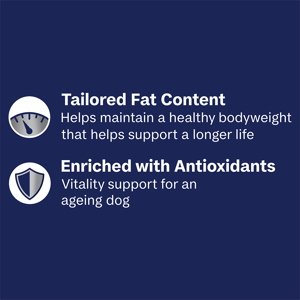 Adult Single Serve Healthy Aging Chicken With Rice Wet Dog Food Trays