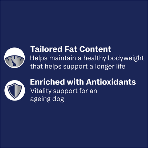 Adult Single Serve Healthy Aging Chicken With Rice Wet Dog Food Trays