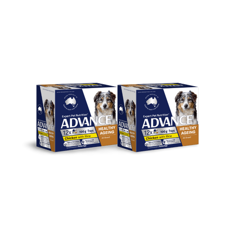 Adult Single Serve Healthy Aging Chicken With Rice Wet Dog Food Trays