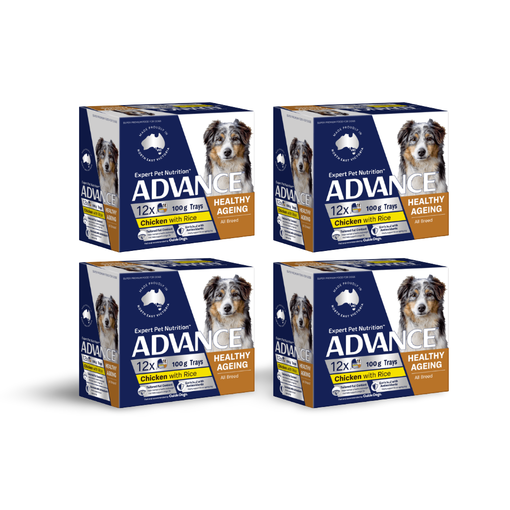 Adult Single Serve Healthy Aging Chicken With Rice Wet Dog Food Trays