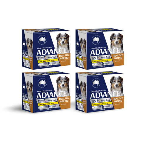 Adult Single Serve Healthy Aging Chicken With Rice Wet Dog Food Trays