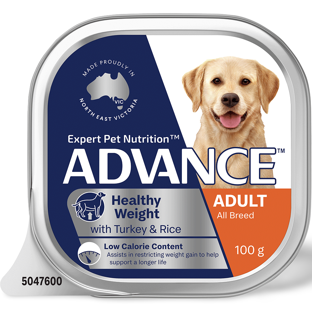 Adult Single Serve Healthy Weight Turkey With Rice Wet Dog Food Trays