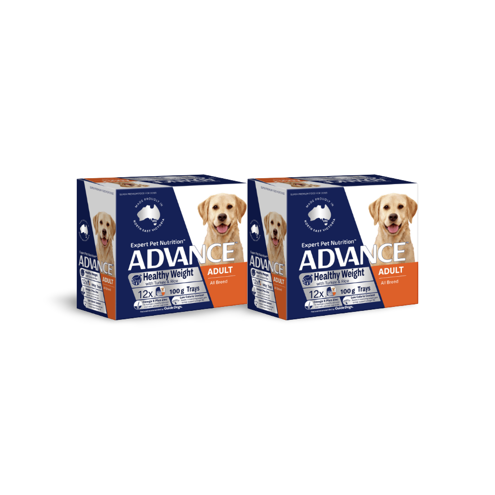 Adult Single Serve Healthy Weight Turkey With Rice Wet Dog Food Trays