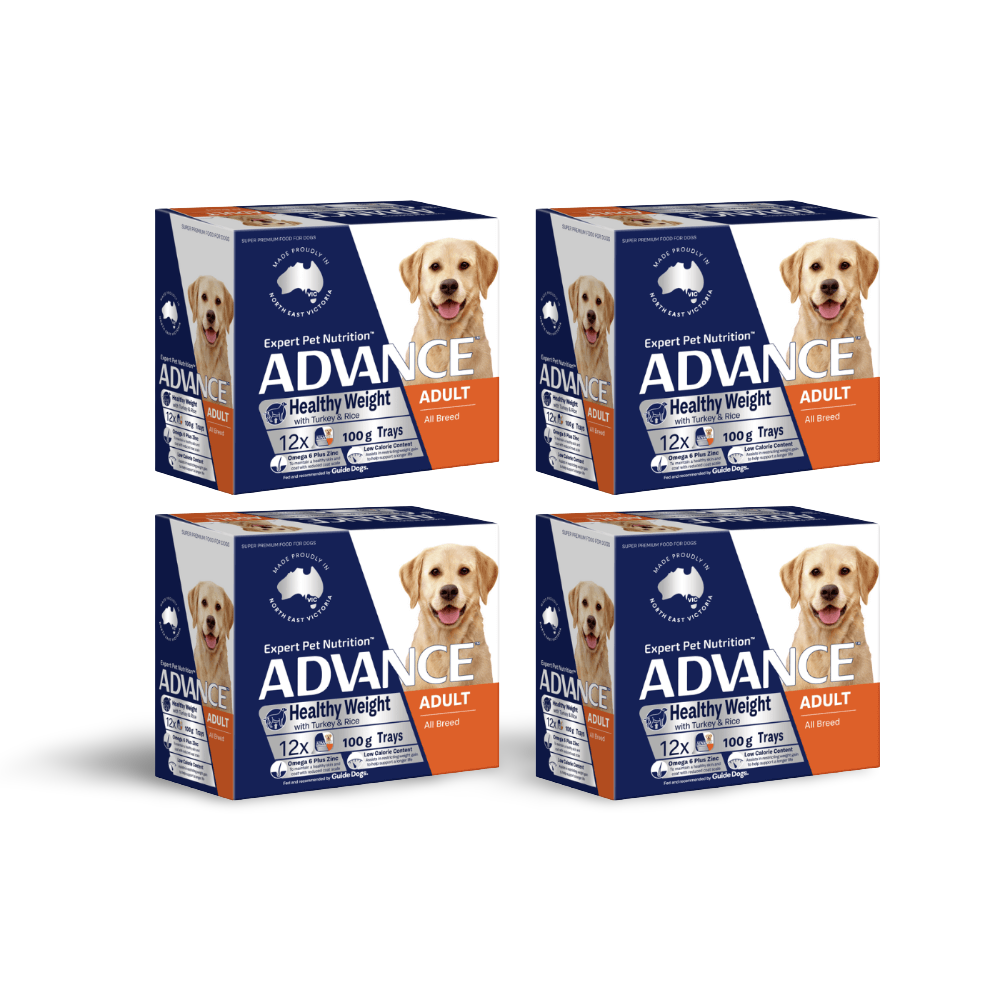 Adult Single Serve Healthy Weight Turkey With Rice Wet Dog Food Trays