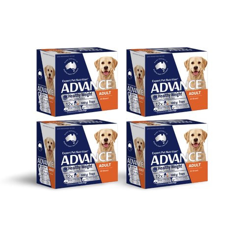 Adult Single Serve Healthy Weight Turkey With Rice Wet Dog Food Trays