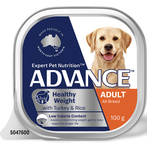 Adult Single Serve Healthy Weight Turkey With Rice Wet Dog Food Trays