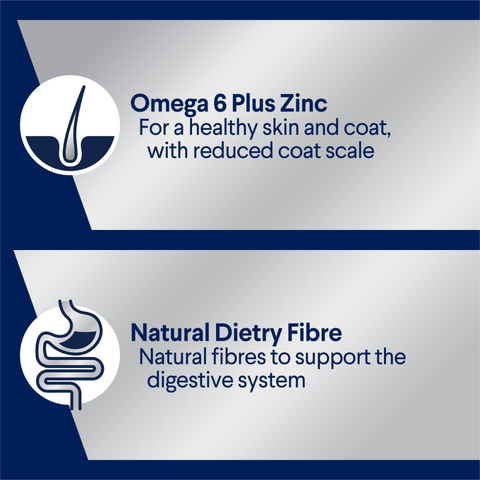 Adult Single Serve Lamb Wet Dog Food Trays