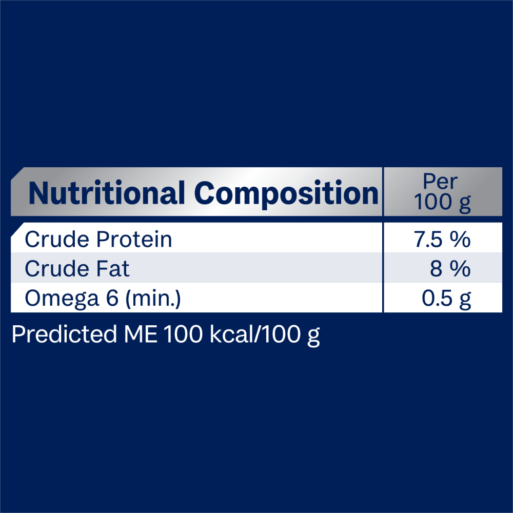 Adult Single Serve Lamb Wet Dog Food Trays