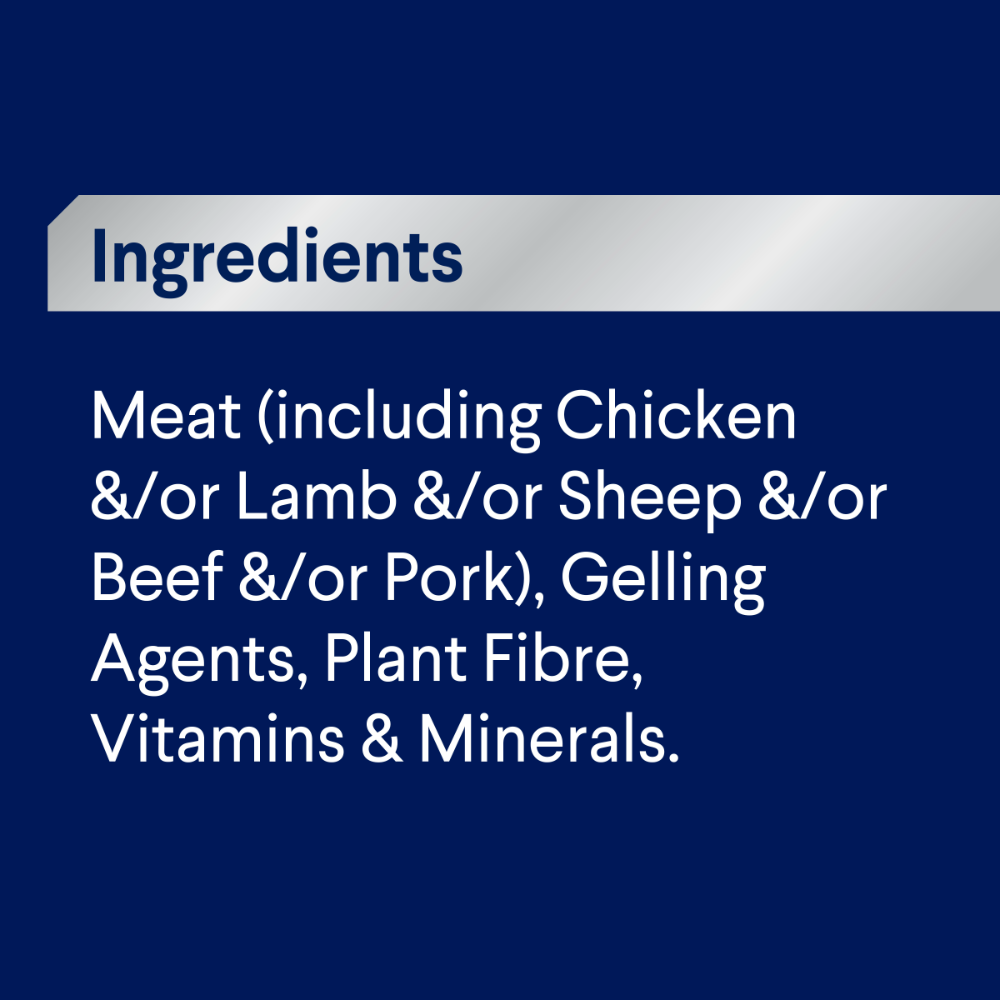 Adult Single Serve Lamb Wet Dog Food Trays