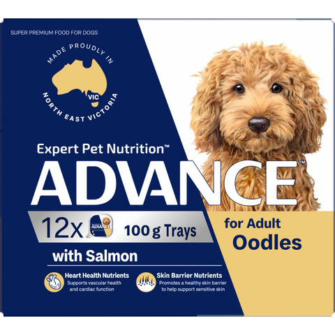 Adult Single Serve Oodles Wet Dog Food Trays
