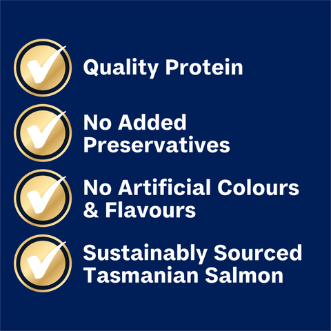 Adult Single Serve Oodles Wet Dog Food Trays