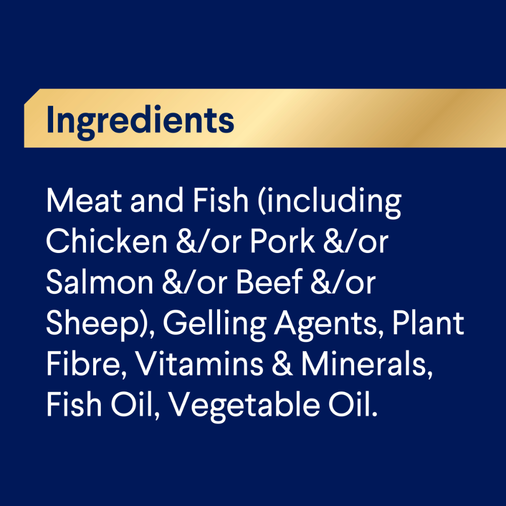 Adult Single Serve Oodles Wet Dog Food Trays