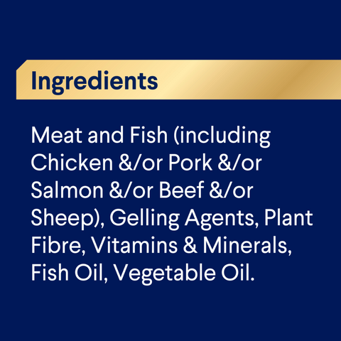 Adult Single Serve Oodles Wet Dog Food Trays