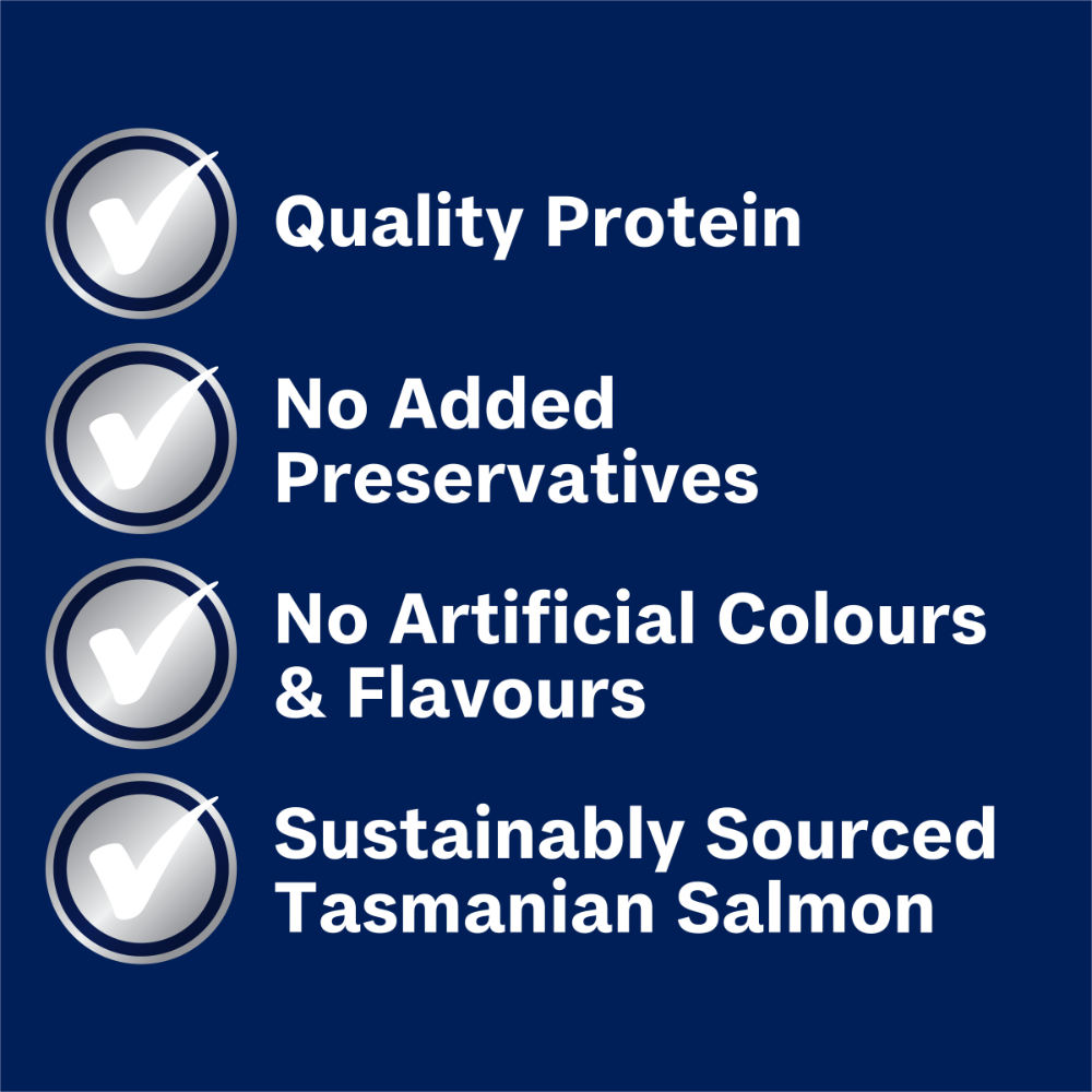 Adult Single Serve Salmon Wet Dog Food Trays