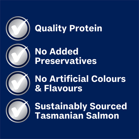 Adult Single Serve Salmon Wet Dog Food Trays