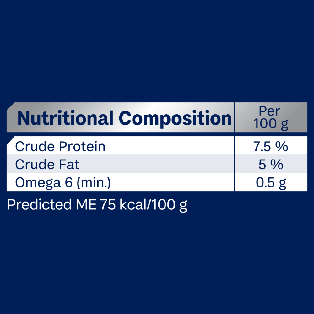 Adult Single Serve Salmon Wet Dog Food Trays