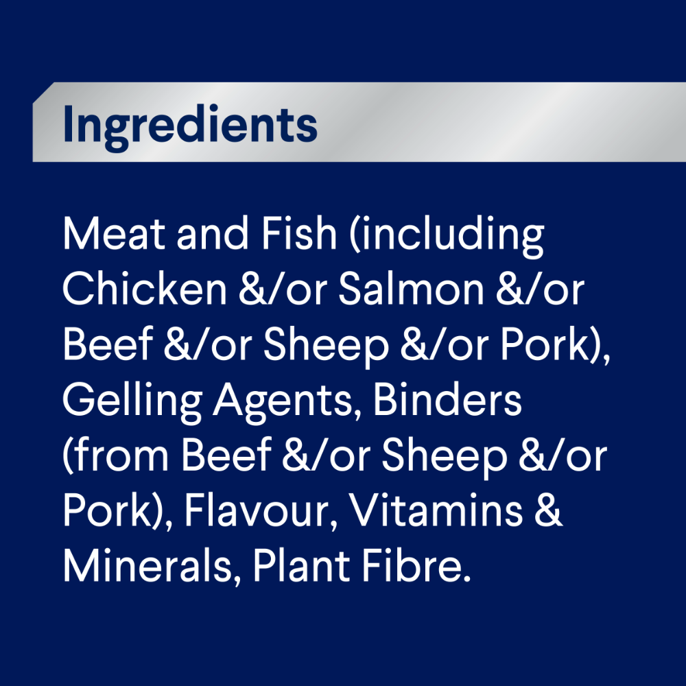 Adult Single Serve Salmon Wet Dog Food Trays