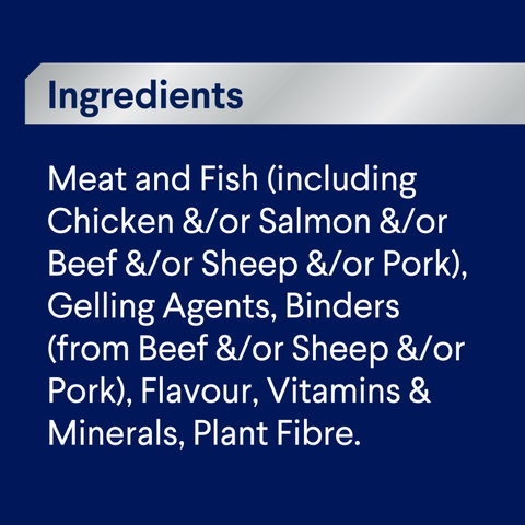 Adult Single Serve Salmon Wet Dog Food Trays