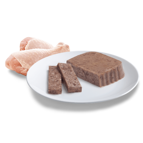 Adult Tender Chicken Delight Wet Cat Food Trays