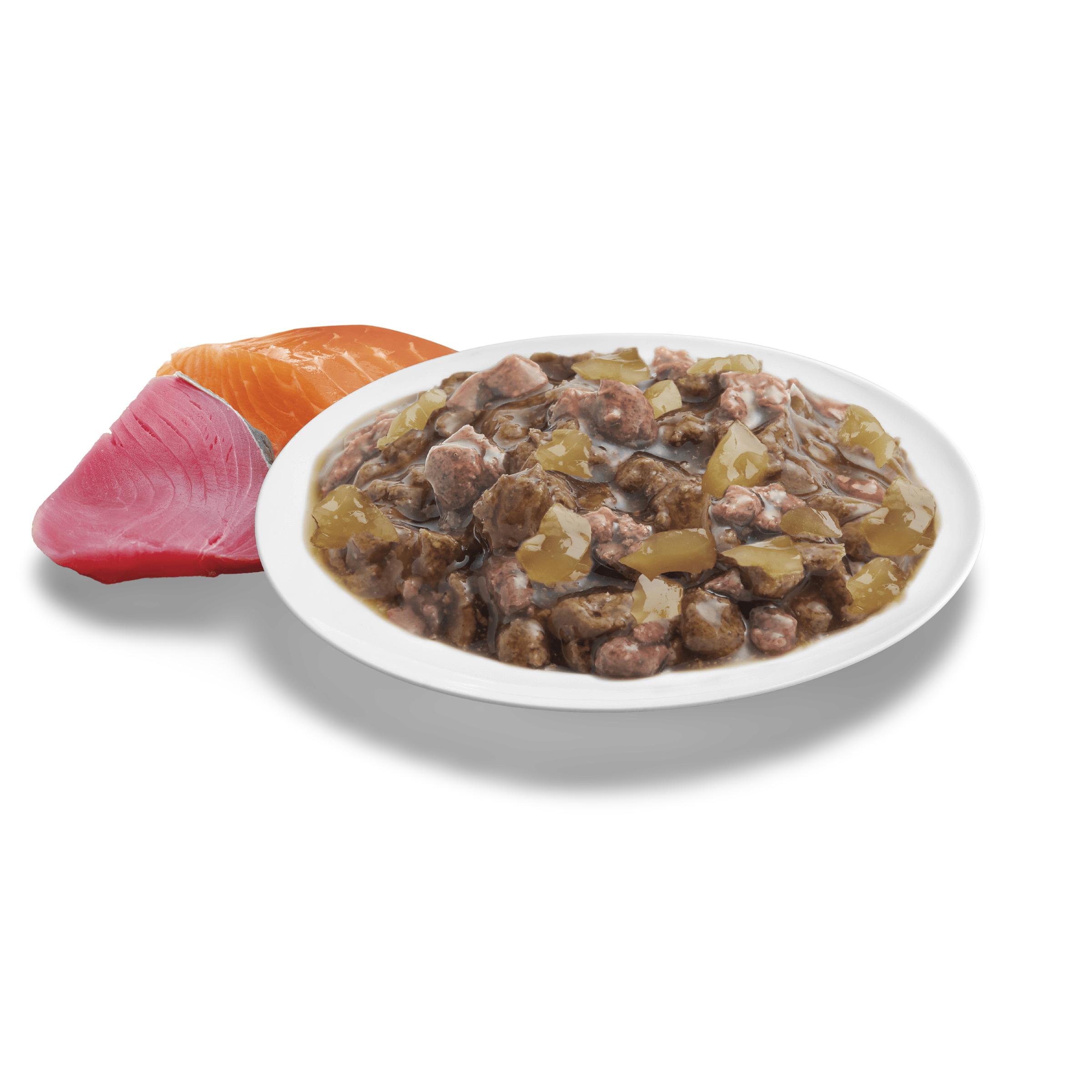 Healthy Ageing Ocean Fish In Jelly Wet Cat Food Pouches