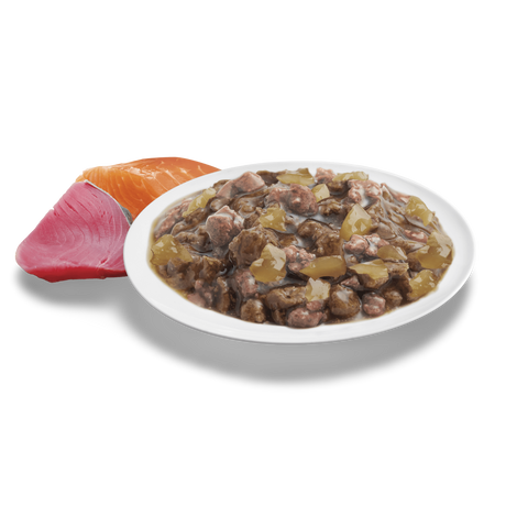 Healthy Ageing Ocean Fish In Jelly Wet Cat Food Pouches