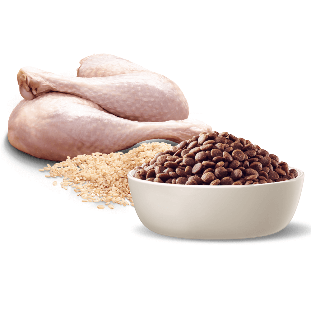 Puppy Medium Breed with Turkey and Rice