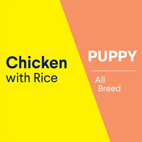 Puppy Chicken And Rice Wet Dog Food Cans